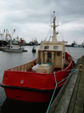 Thyboron Lods - remorkér