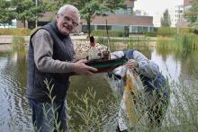 St. Canute a autor článku