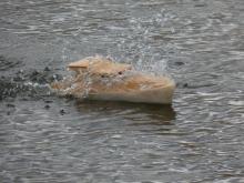 Nedodělaná loď dětí z DDM Stodůlky