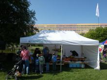 Vítr příliš nefoukal.