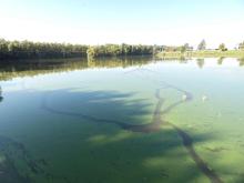 Vyjetá brázda za první lodí byla vidět docela dlouho.