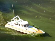 Sabrina Vojty Kuchty