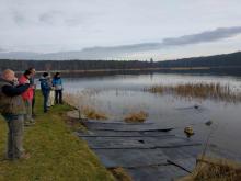 Remorkéry hrající si u zarostlého břehu mezi zbytky ledu