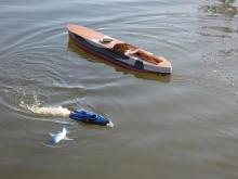 K vidění byl i žralok.