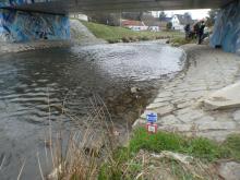 Pod mostem, u kterého se začínalo, byla příliš mělká peřej.