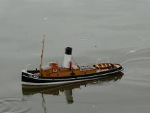 Tollman (F2A) Petera Mikulky