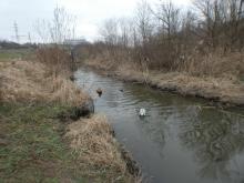 Jarní expedice po Rokytce 2025