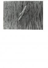 německá ponorka U-505 - 2