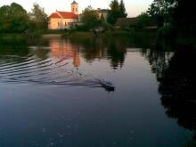 Policejní člun. - 2