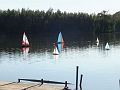 39