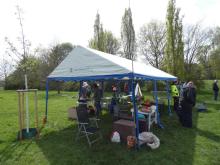 Náš velký stan se naštěstí vešel mezi dříve vysazené topoly a nově vysazený strom.